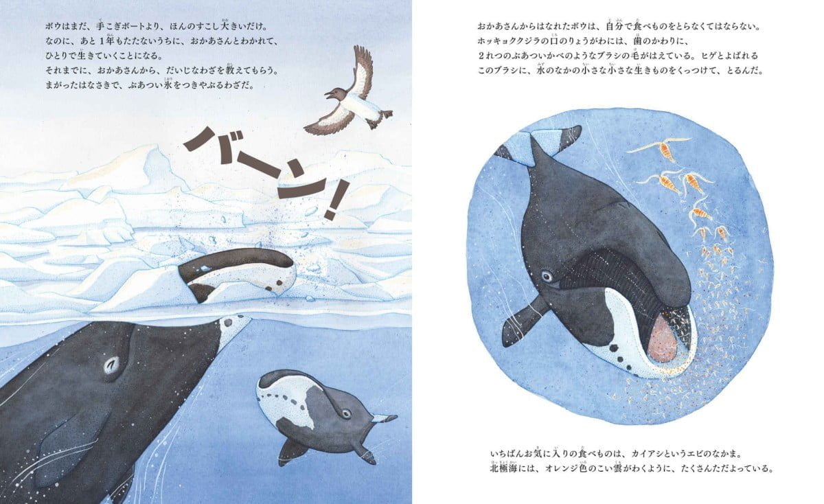 絵本「ホッキョククジラのボウ」の一コマ4