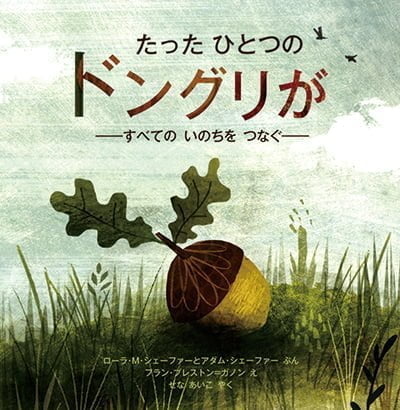 絵本「たったひとつのドングリが」の表紙（詳細確認用）（中サイズ）