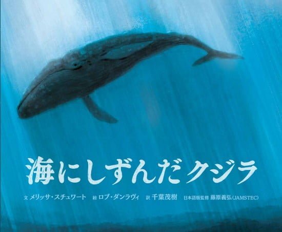 絵本「海にしずんだクジラ」の表紙（全体把握用）（中サイズ）