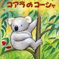 絵本「コアラのコーシャ」の表紙（サムネイル）