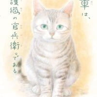 絵本「吾輩は、保護猫の官兵衛である」の表紙
