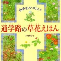 絵本「通学路の草花えほん」の表紙（サムネイル）