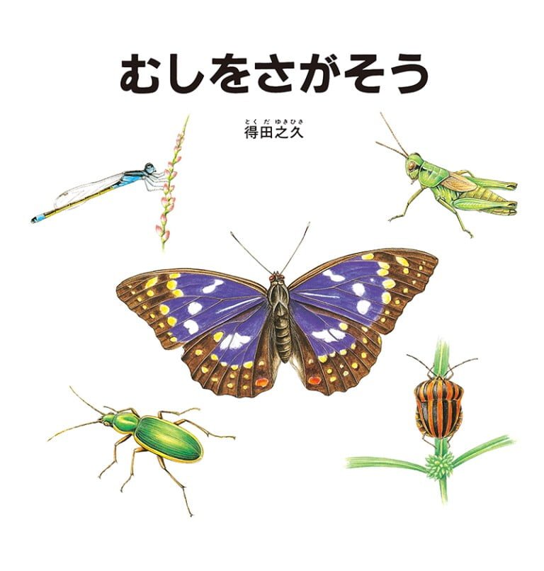 絵本「むしをさがそう」の表紙（詳細確認用）（中サイズ）