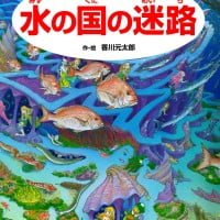 絵本「水の国の迷路」の表紙（サムネイル）