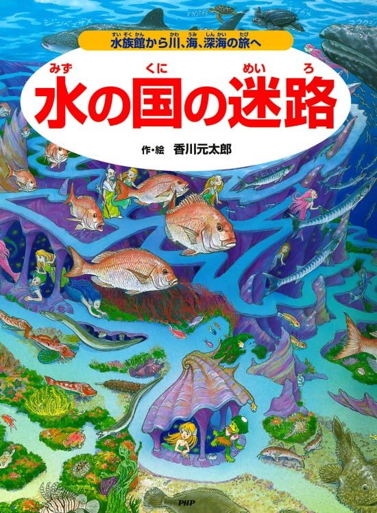 絵本「水の国の迷路」の表紙（全体把握用）（中サイズ）