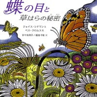 絵本「蝶の目と草はらの秘密」の表紙（サムネイル）