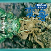 絵本「栗林さんの虫めがね ２ 変身」の表紙（サムネイル）