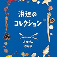 絵本「浜辺のコレクション」の表紙（サムネイル）