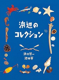 絵本「浜辺のコレクション」の表紙（詳細確認用）（中サイズ）