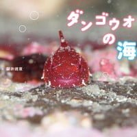 絵本「ダンゴウオの海」の表紙（サムネイル）