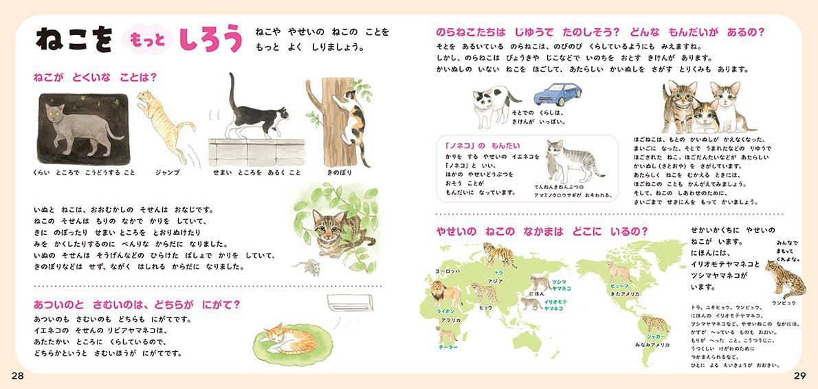 絵本「ねこのずかん 家ねこと野生ねこ」の一コマ6