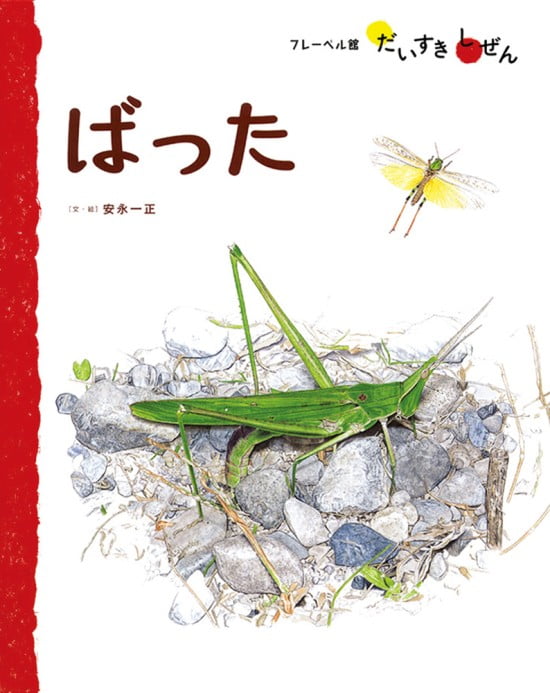 絵本「ばった」の表紙（全体把握用）（中サイズ）