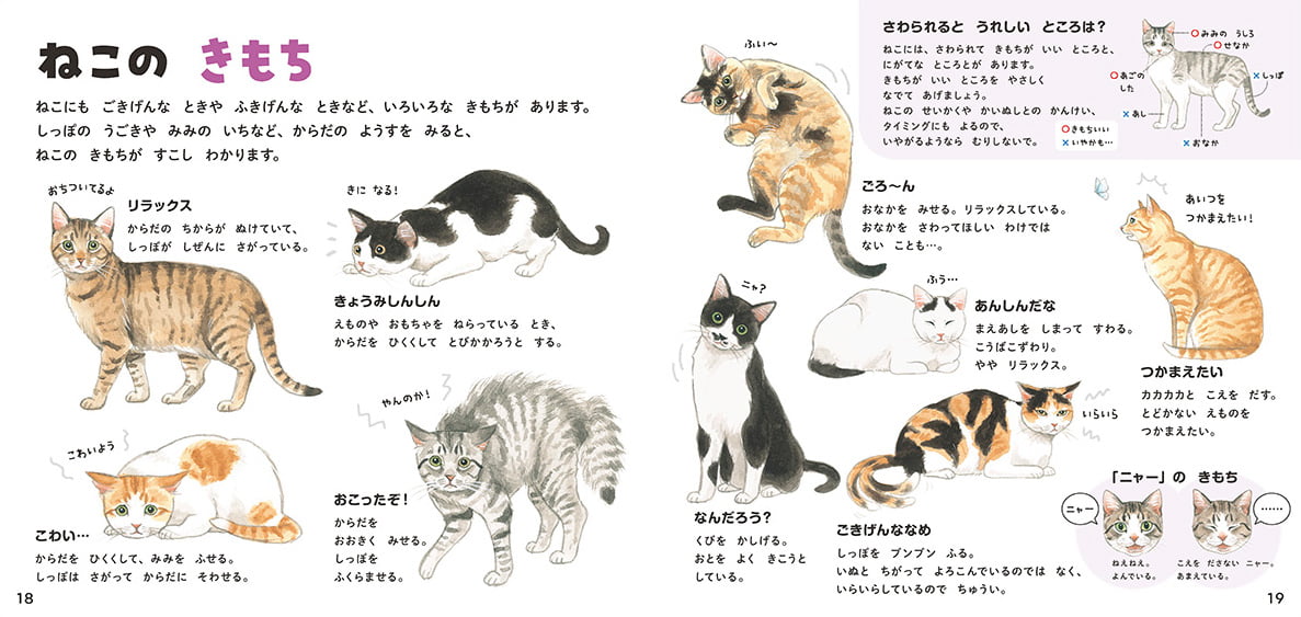 絵本「ねこのずかん 家ねこと野生ねこ」の一コマ4