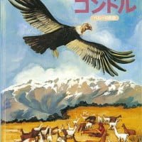 絵本「マリアとコンドル」の表紙（サムネイル）