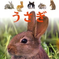 絵本「うさぎ」の表紙（サムネイル）