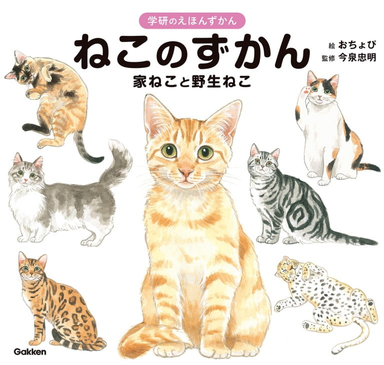 絵本「ねこのずかん」の表紙（詳細確認用）（中サイズ）