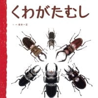 絵本「くわがたむし」の表紙（サムネイル）