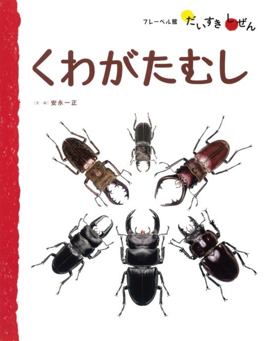 絵本「くわがたむし」の表紙（全体把握用）（中サイズ）