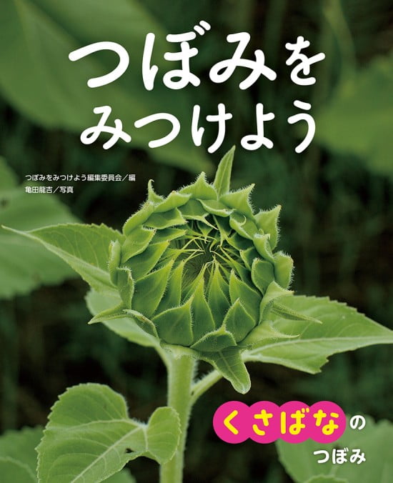 絵本「くさばなの つぼみ」の表紙（中サイズ）