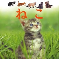 絵本「ねこ」の表紙（サムネイル）