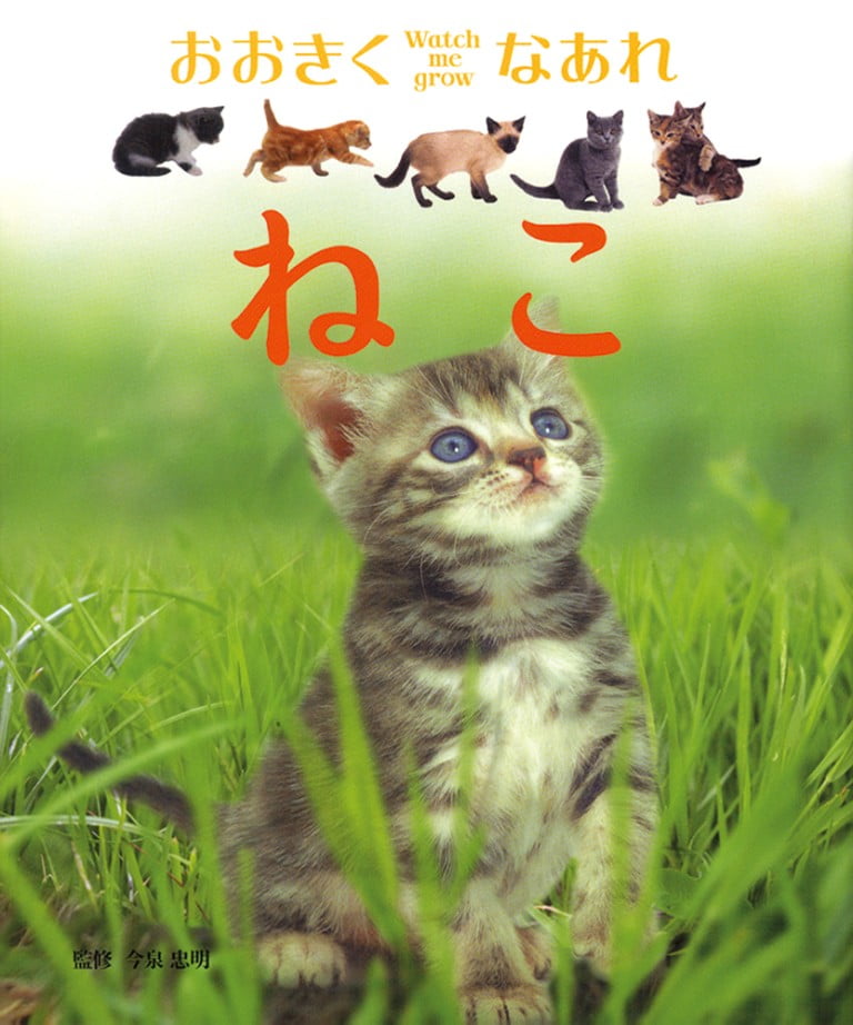 絵本「ねこ」の表紙（詳細確認用）（中サイズ）