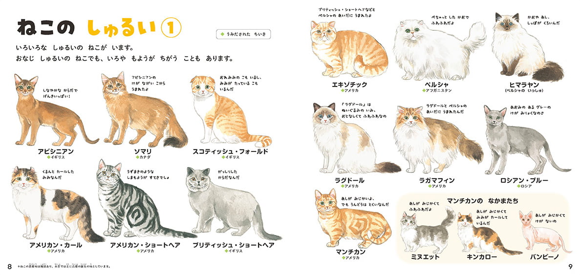 絵本「ねこのずかん 家ねこと野生ねこ」の一コマ3