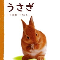 絵本「うさぎ」の表紙（サムネイル）