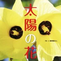 絵本「太陽の花」の表紙（サムネイル）