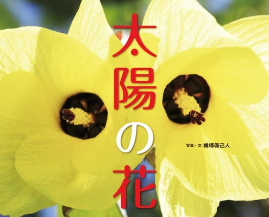 絵本「太陽の花」の表紙（全体把握用）（中サイズ）