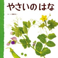 絵本「やさいのはな」の表紙（サムネイル）