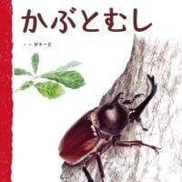 絵本「かぶとむし」の表紙（サムネイル）