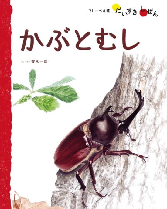 絵本「かぶとむし」の表紙（全体把握用）（中サイズ）