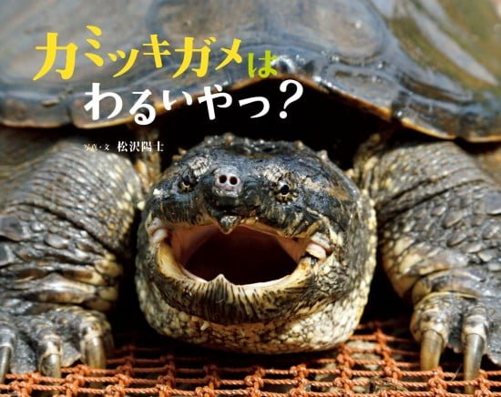 絵本「カミツキガメは わるいやつ？」の表紙（全体把握用）（中サイズ）