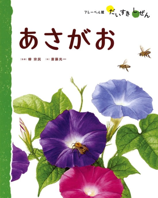 絵本「あさがお」の表紙（中サイズ）