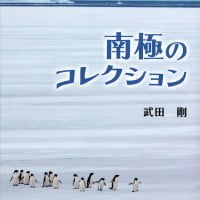 絵本「南極のコレクション」の表紙（サムネイル）