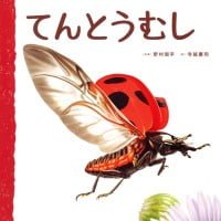 絵本「てんとうむし」の表紙（サムネイル）