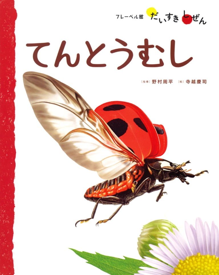 絵本「てんとうむし」の表紙（詳細確認用）（中サイズ）