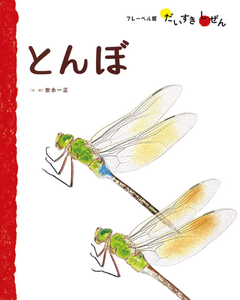 絵本「とんぼ」の表紙（詳細確認用）（中サイズ）