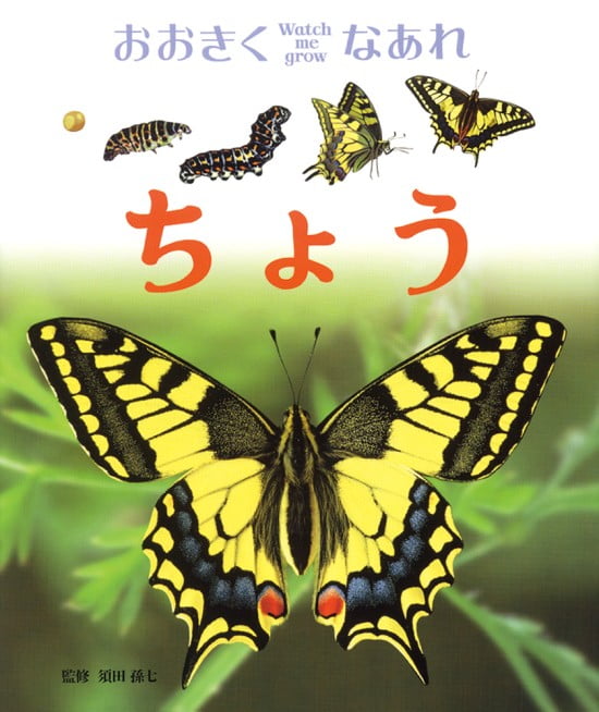 絵本「ちょう」の表紙（全体把握用）（中サイズ）