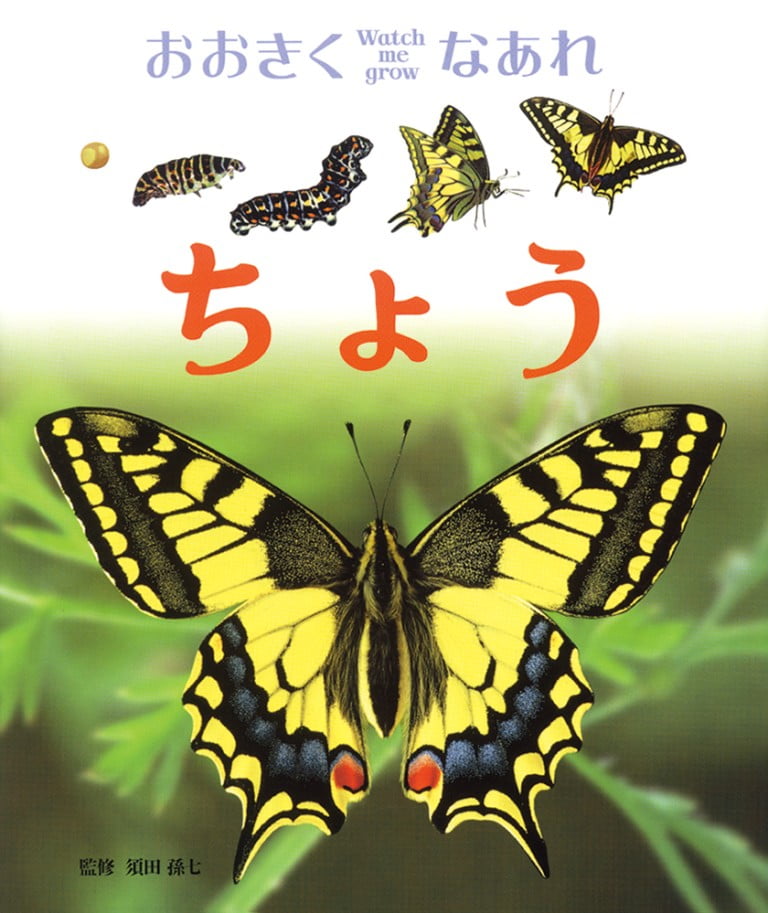 絵本「ちょう」の表紙（詳細確認用）（中サイズ）