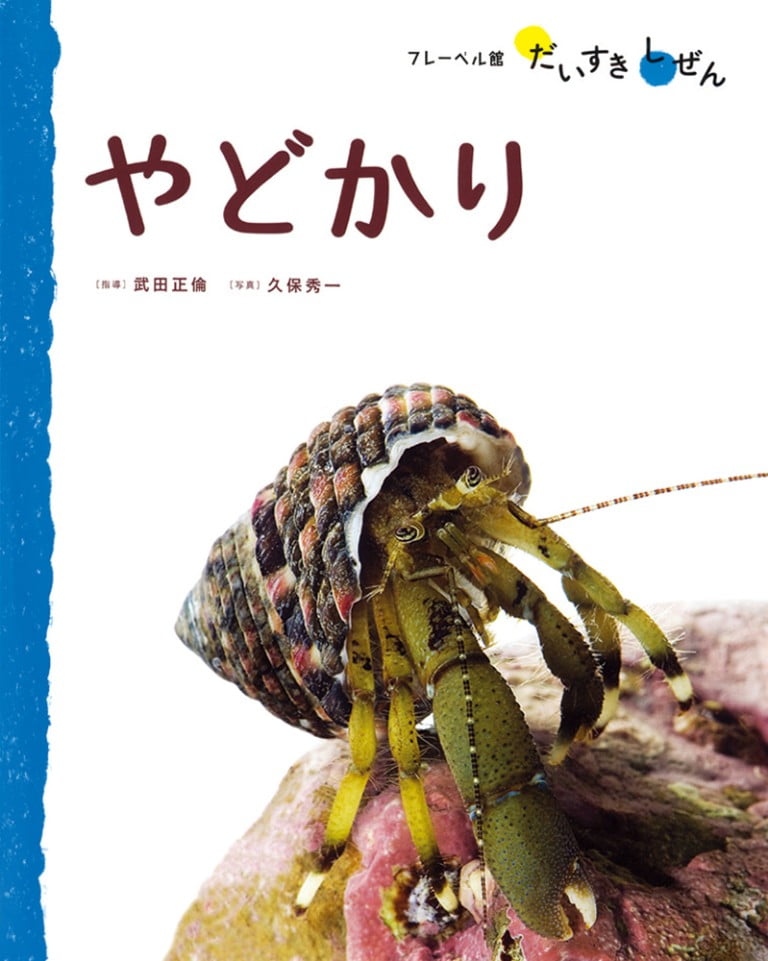 絵本「やどかり」の表紙（詳細確認用）（中サイズ）