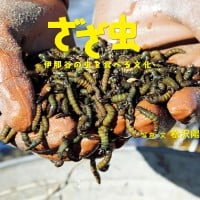 絵本「ざざ虫 伊那谷の虫を食べる文化」の表紙（サムネイル）