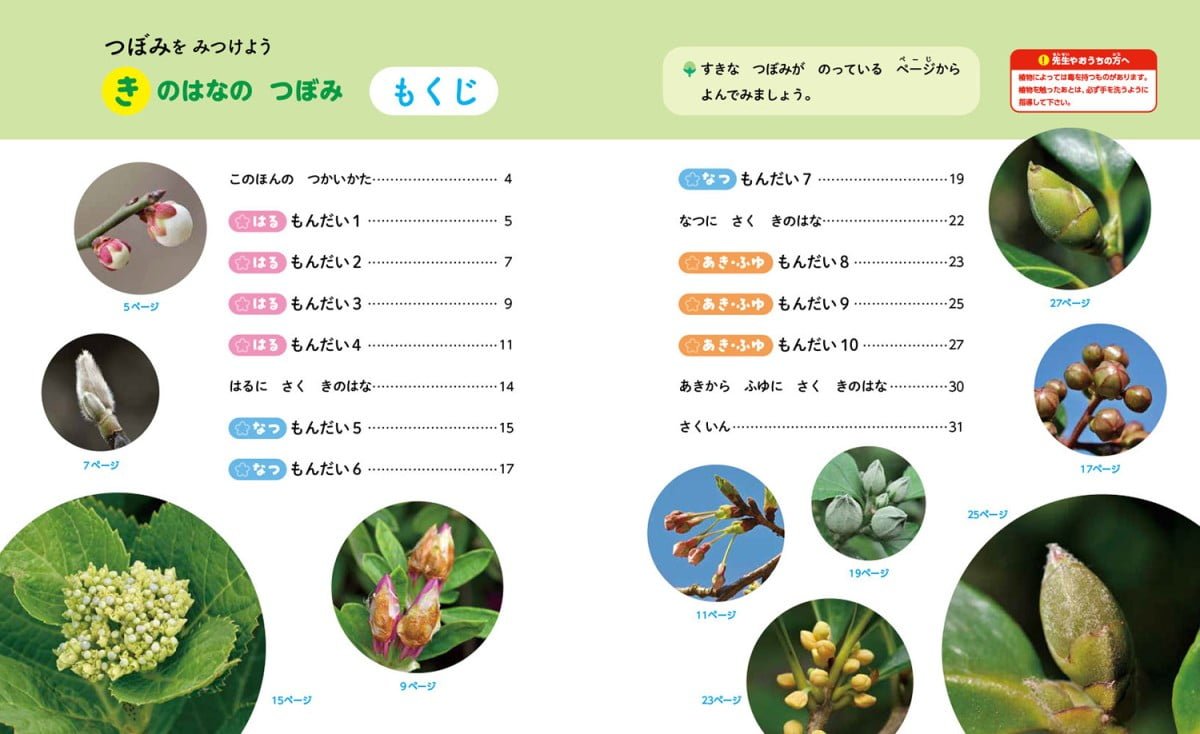 絵本「きのはなの つぼみ」の一コマ