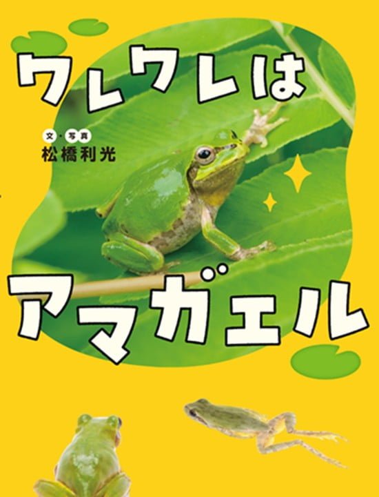 絵本「ワレワレはアマガエル」の表紙（全体把握用）（中サイズ）