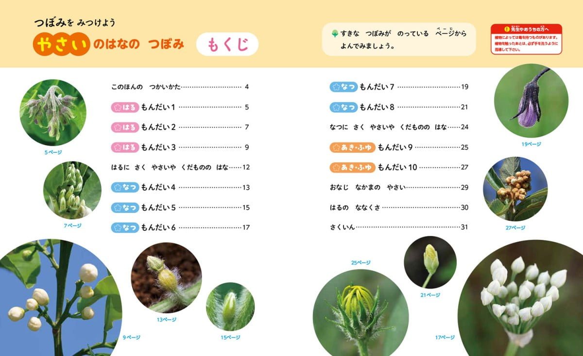 絵本「やさいのはなの つぼみ」の一コマ