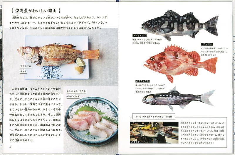 絵本「釣って 食べて 調べる 深海魚」の一コマ2