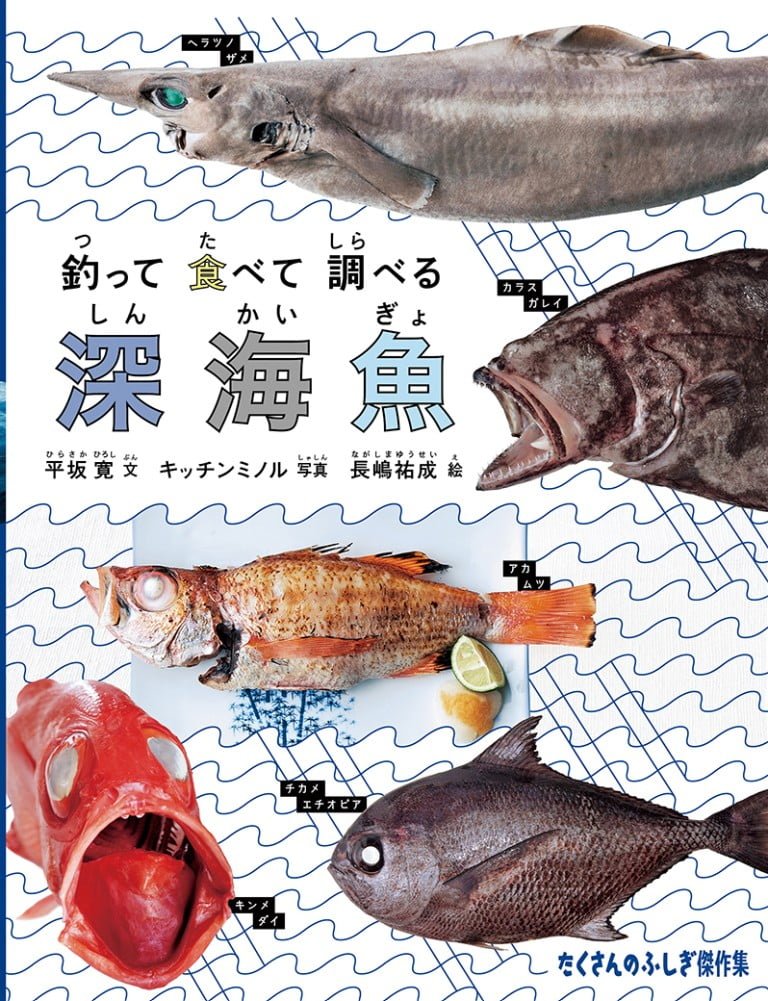 絵本「釣って 食べて 調べる 深海魚」の表紙（詳細確認用）（中サイズ）