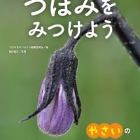 絵本「やさいのはなの つぼみ」の表紙（サムネイル）