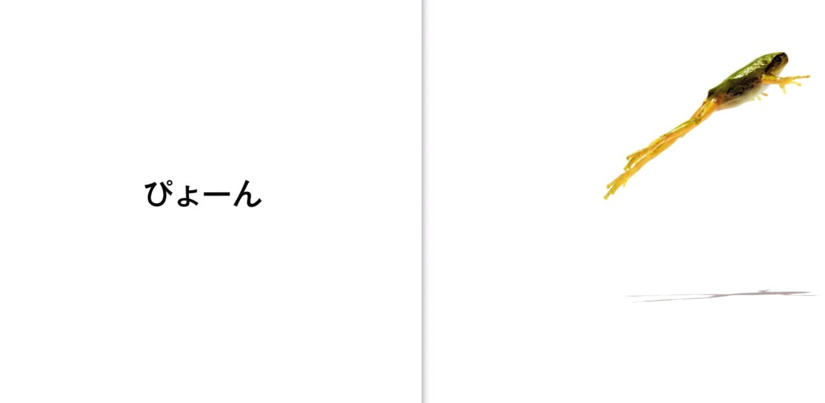 絵本「てんとうむし ぱっ」の一コマ2