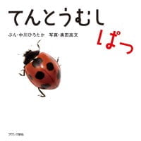 絵本「てんとうむし ぱっ」の表紙（サムネイル）